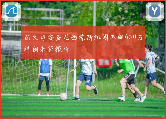 热火与安芬尼西蒙斯绯闻不断650万特例未获报价
