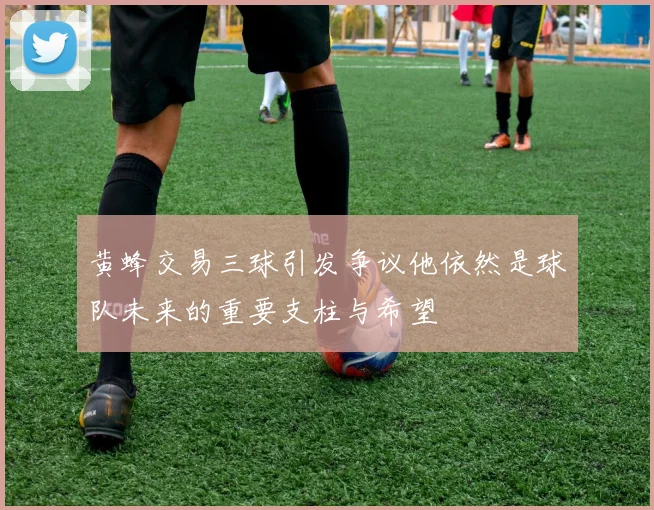 黄蜂交易三球引发争议他依然是球队未来的重要支柱与希望